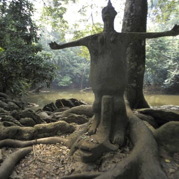 Osun-Osogbo Sacred Grove image 4