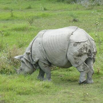 Chitwan National Park image 14