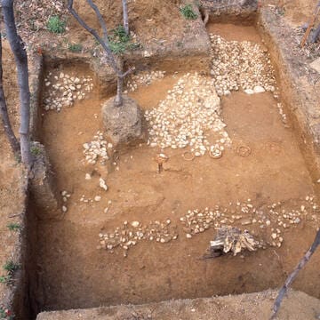 Mozu-Furuichi Kofun Group: Mounded Tombs of Ancient Japan image 11