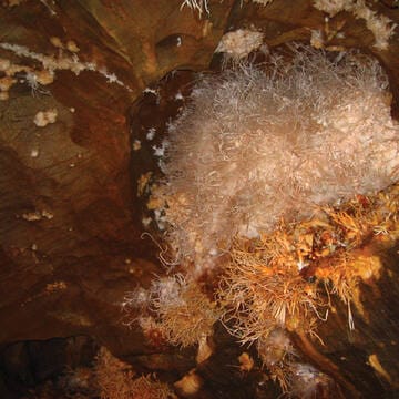 Caves of Aggtelek Karst and Slovak Karst image 7
