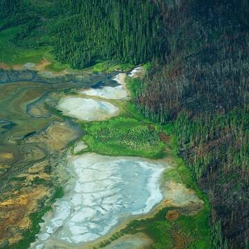 Wood Buffalo National Park image 3