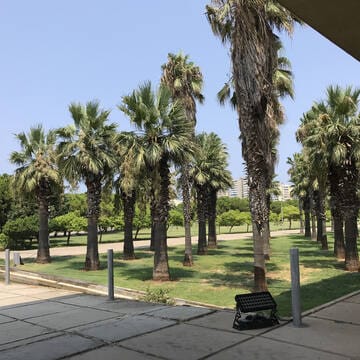 Rachid Karami International Fair-Tripoli image 10