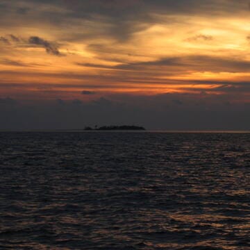 Tubbataha Reefs Natural Park image 5