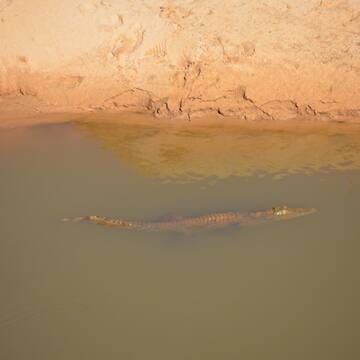 Ennedi Massif: Natural and Cultural Landscape image 32