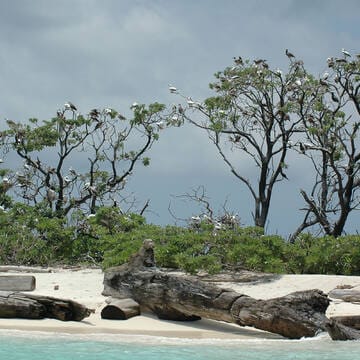 Tubbataha Reefs Natural Park image 12
