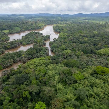 Gola-Tiwai Complex image 3