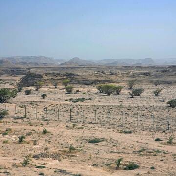 Land of Frankincense image 16