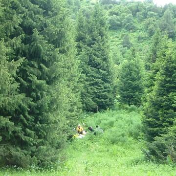 Western Tien-Shan image 2