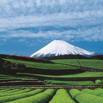 Fujisan, sacred place and source of artistic inspiration image 7