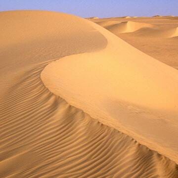 Air and Ténéré Natural Reserves