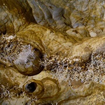Caves of Aggtelek Karst and Slovak Karst image 19