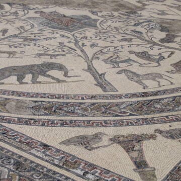 Archaeological Site of Volubilis image 13