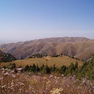 Western Tien-Shan image 32