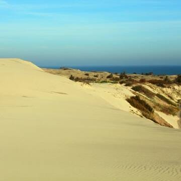Curonian Spit image 5