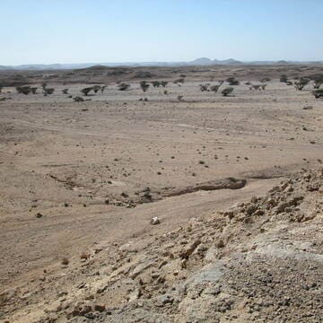 Land of Frankincense image 7