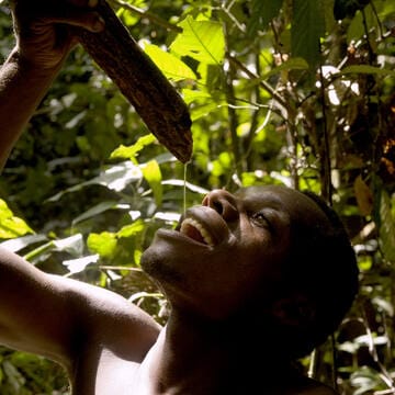 Sangha Trinational image 9