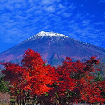 Fujisan, sacred place and source of artistic inspiration image 8