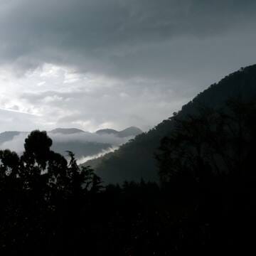 Talamanca Range-La Amistad Reserves / La Amistad National Park image 9
