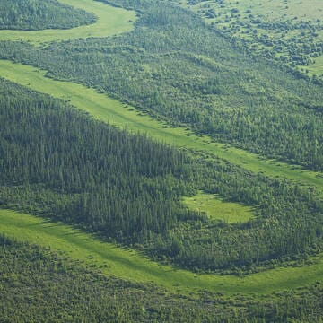 Wood Buffalo National Park image 8