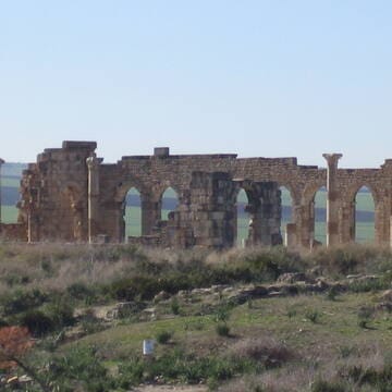 Archaeological Site of Volubilis image 2