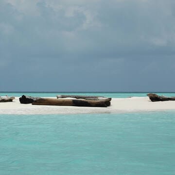Tubbataha Reefs Natural Park image 14