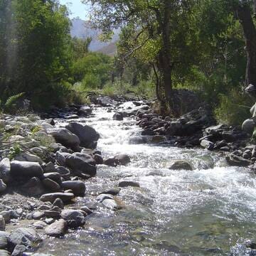 Western Tien-Shan image 18