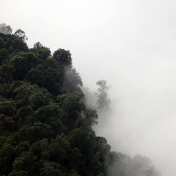 Talamanca Range-La Amistad Reserves / La Amistad National Park