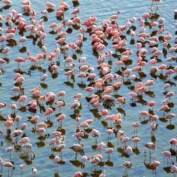 Kenya Lake System in the Great Rift Valley image 6