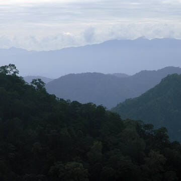 Talamanca Range-La Amistad Reserves / La Amistad National Park image 5