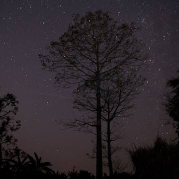 Chitwan National Park image 4