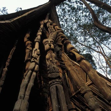 Osun-Osogbo Sacred Grove image 6