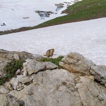 Western Tien-Shan image 11