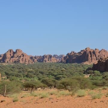 Ennedi Massif: Natural and Cultural Landscape image 39