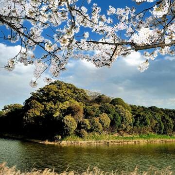 Mozu-Furuichi Kofun Group: Mounded Tombs of Ancient Japan image 5