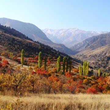 Western Tien-Shan image 10