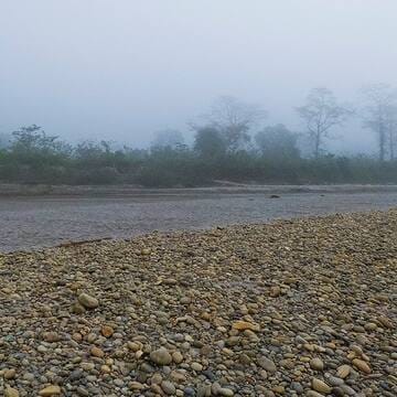 Chitwan National Park image 24