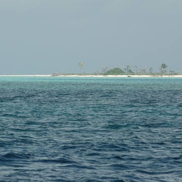 Tubbataha Reefs Natural Park image 6
