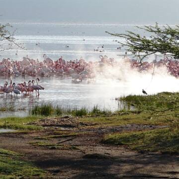 Kenya Lake System in the Great Rift Valley image 4