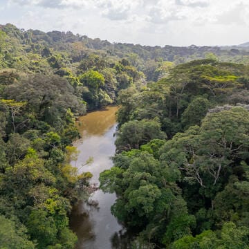 Gola-Tiwai Complex image 9