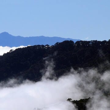 Talamanca Range-La Amistad Reserves / La Amistad National Park image 2