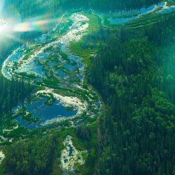 Wood Buffalo National Park