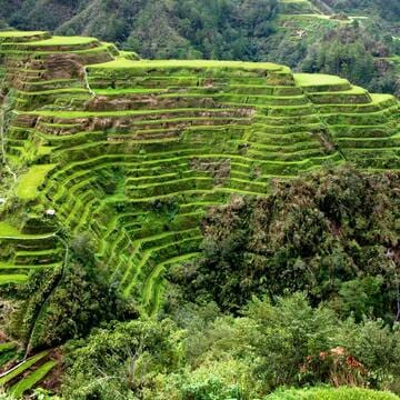 Rice Terraces of the Philippine Cordilleras image 5