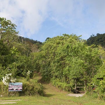 Talamanca Range-La Amistad Reserves / La Amistad National Park image 14