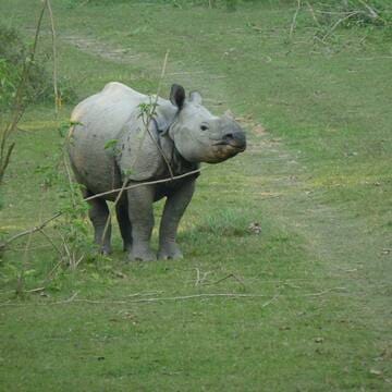 Chitwan National Park image 8