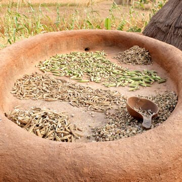 Koutammakou, the Land of the Batammariba image 6