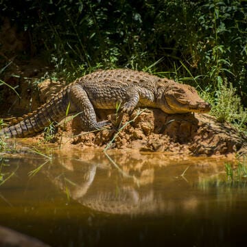 Ennedi Massif: Natural and Cultural Landscape image 20