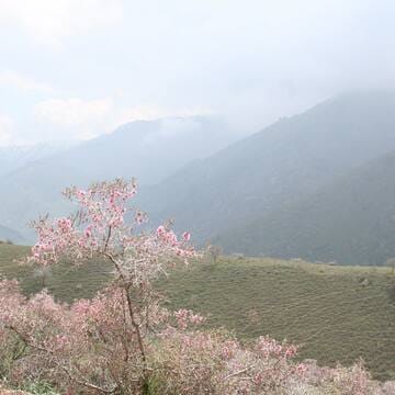 Western Tien-Shan image 46