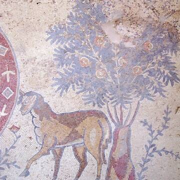 Um er-Rasas (Kastrom Mefa'a) image 9