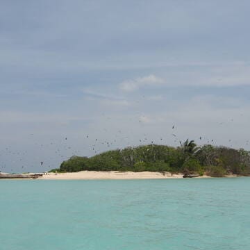 Tubbataha Reefs Natural Park image 2
