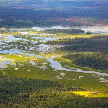 Wood Buffalo National Park image 4